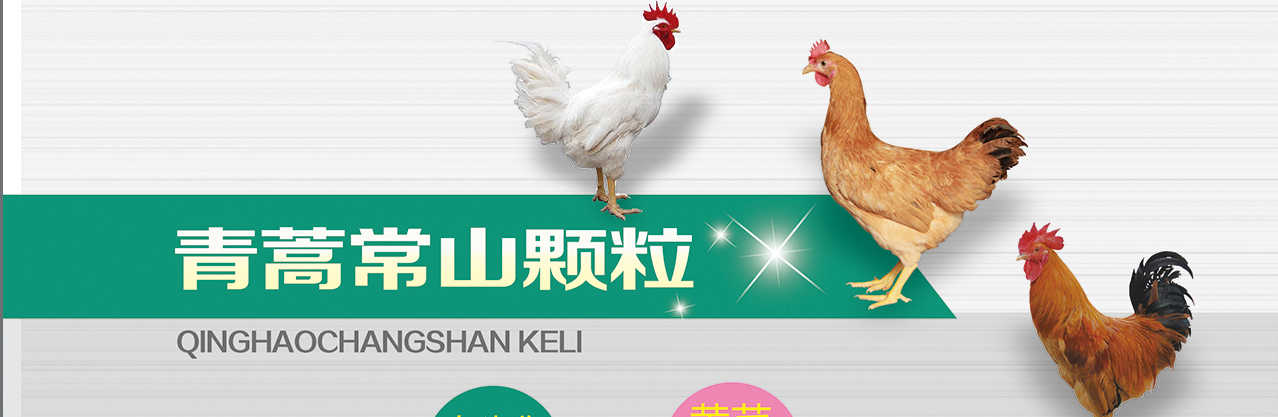 杏悦2 - 高品质生涯履历平台 | 生涯服务 | 休闲娱乐