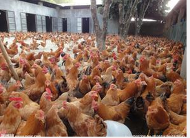 杏悦2 - 高品质生涯履历平台 | 生涯服务 | 休闲娱乐