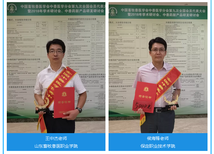 62cfb9c536a0b